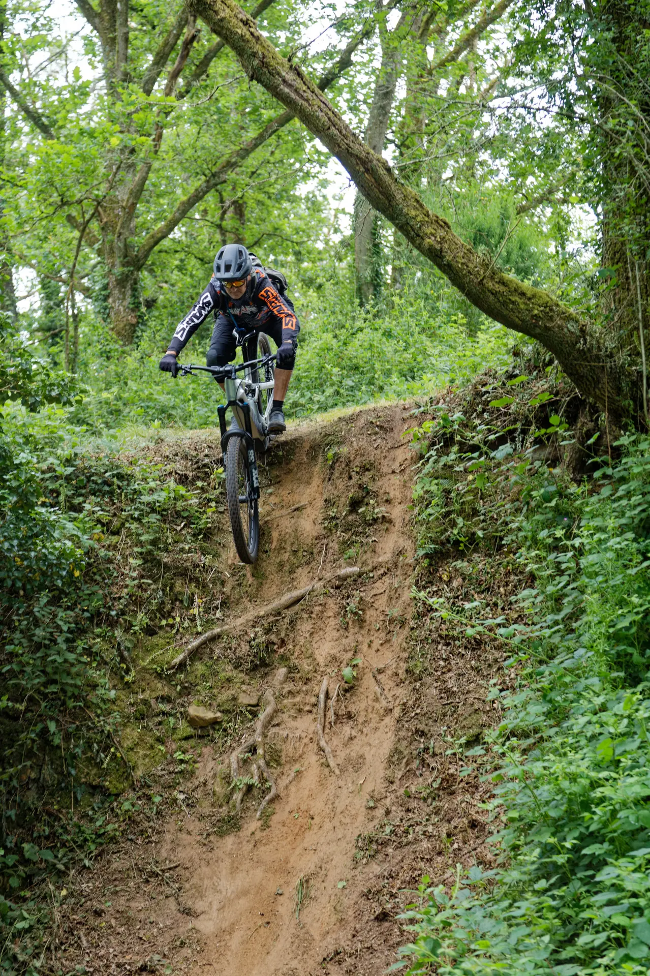 Rando du Serein - Treffendel