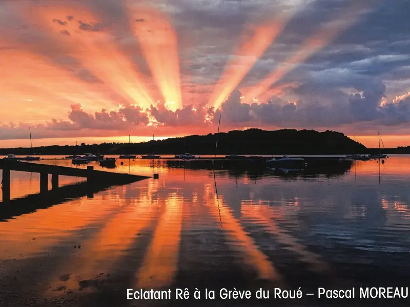 salondart_photos_guilliers_2024_DestinationBrocéliande