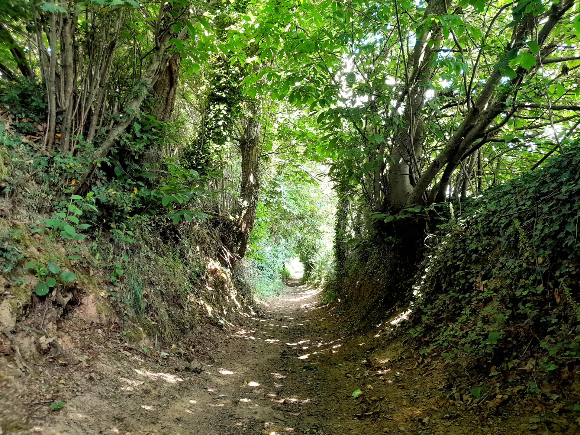 Circuit trail n° 5  Saint-Gonlay