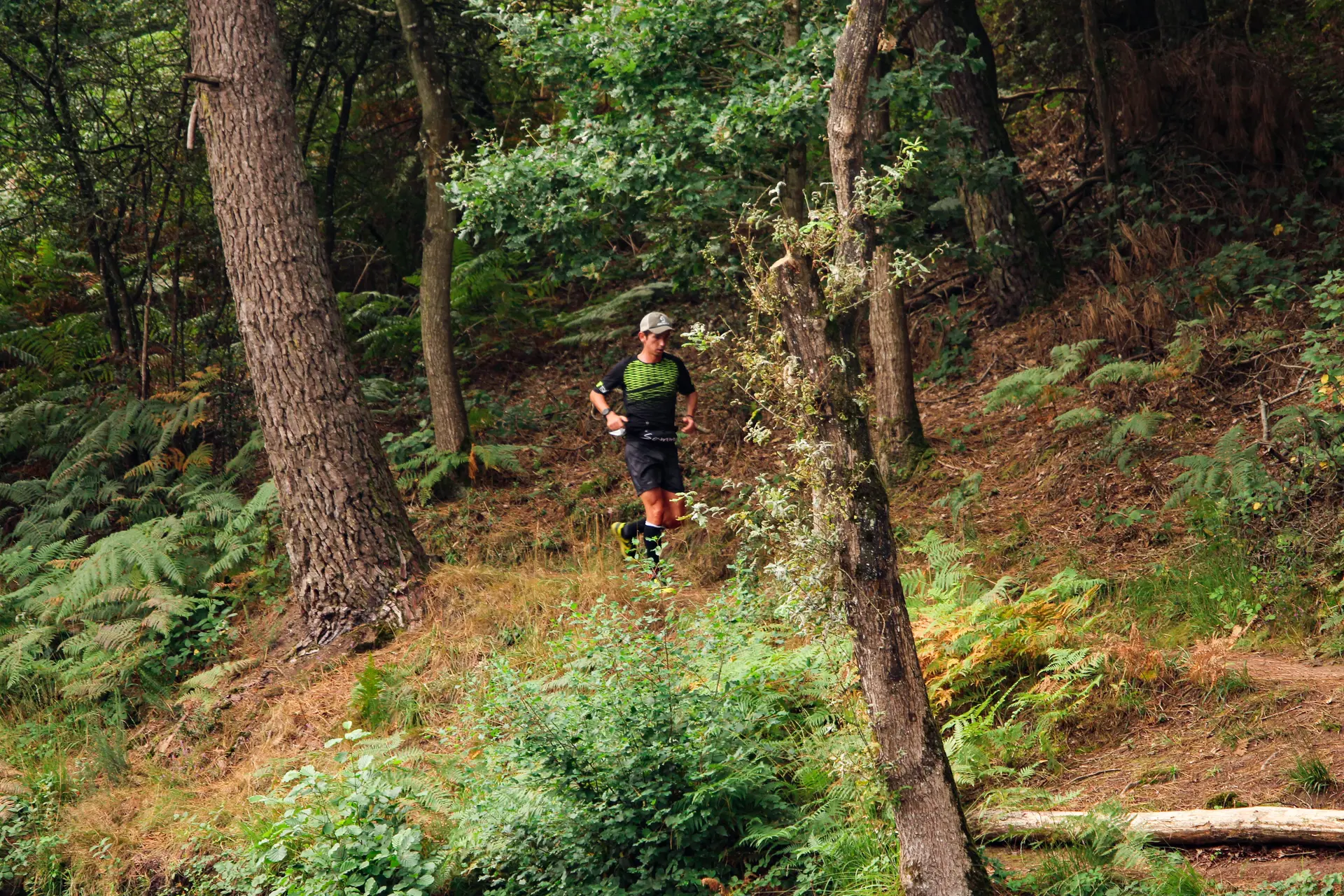 Trail des Légendes de Brocéliande