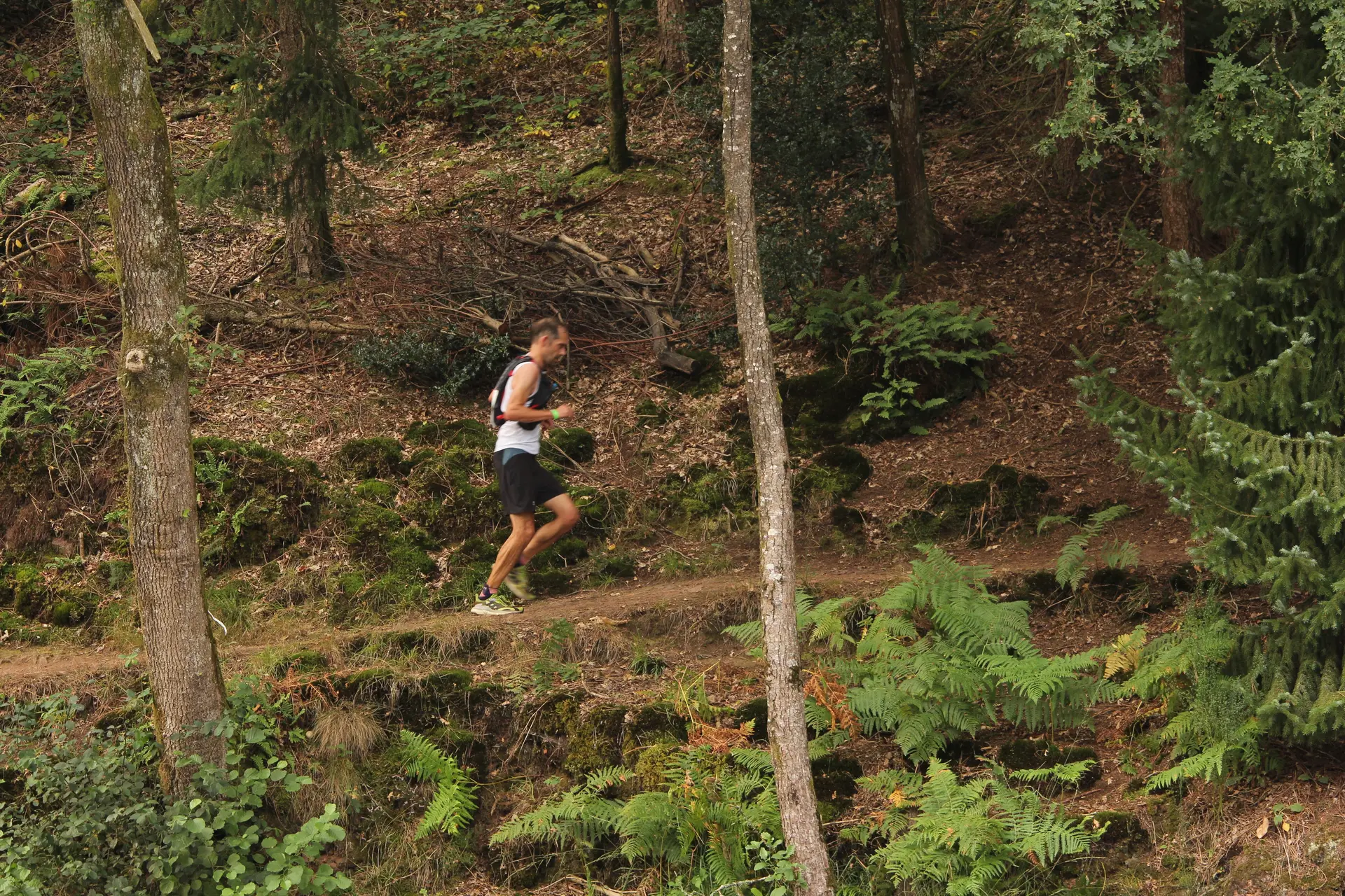 Trail des Légendes de Brocéliande