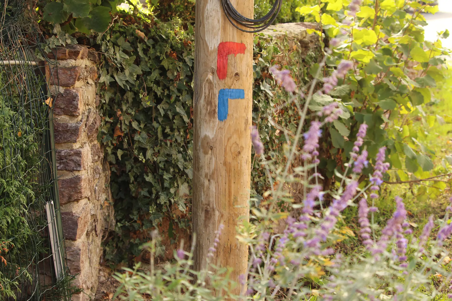 Randonnée Talensac Val Beuzet