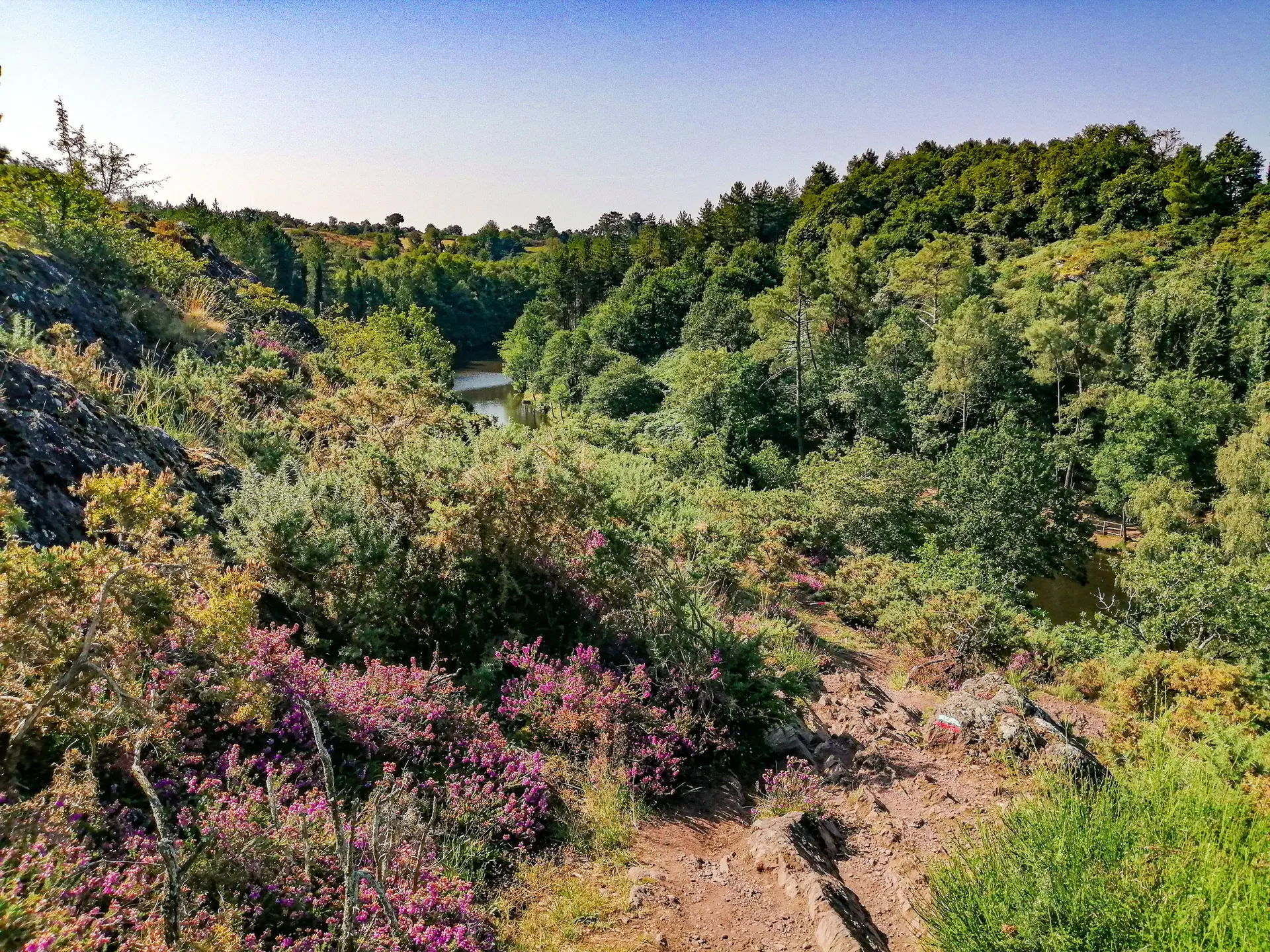 Vallon de la chambre au Loup Iffendic