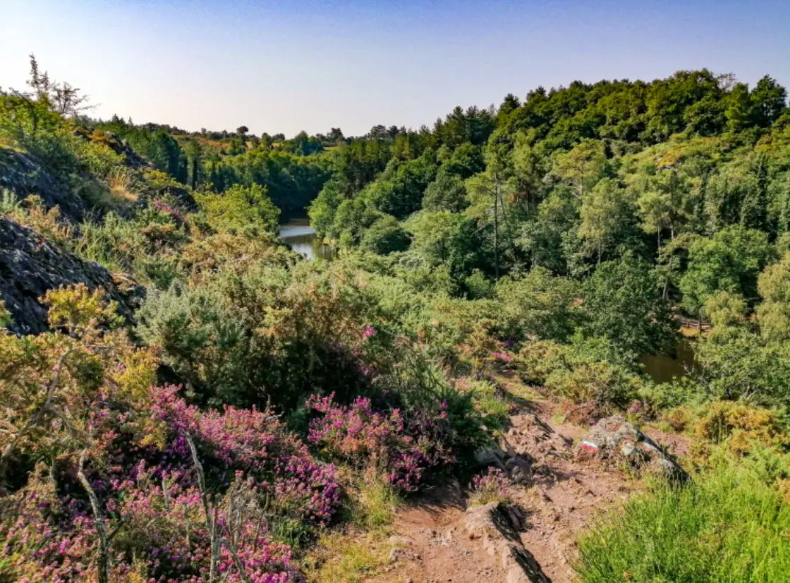 Vallon de la chambre au loup Iffendic