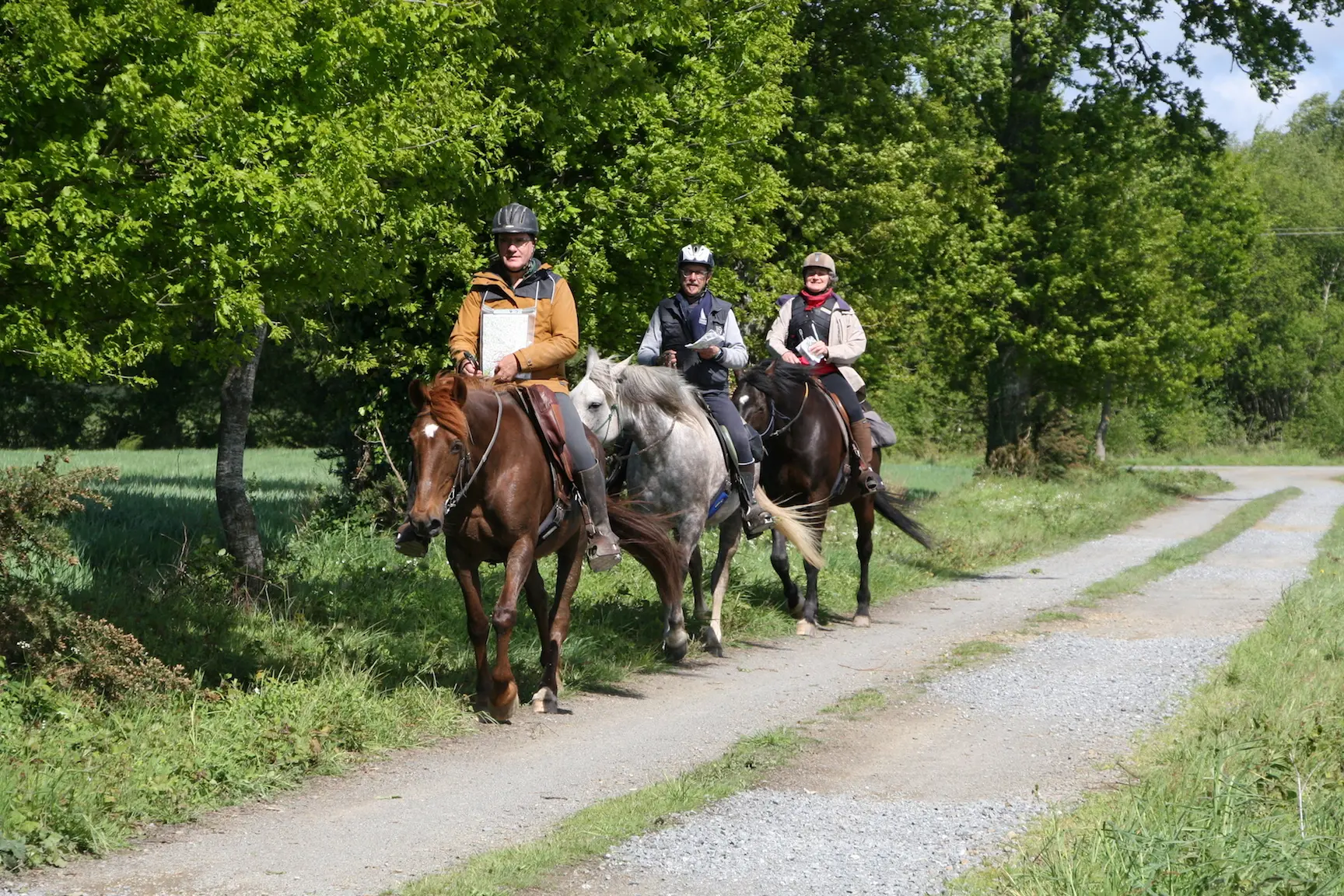 randonnée à cheval