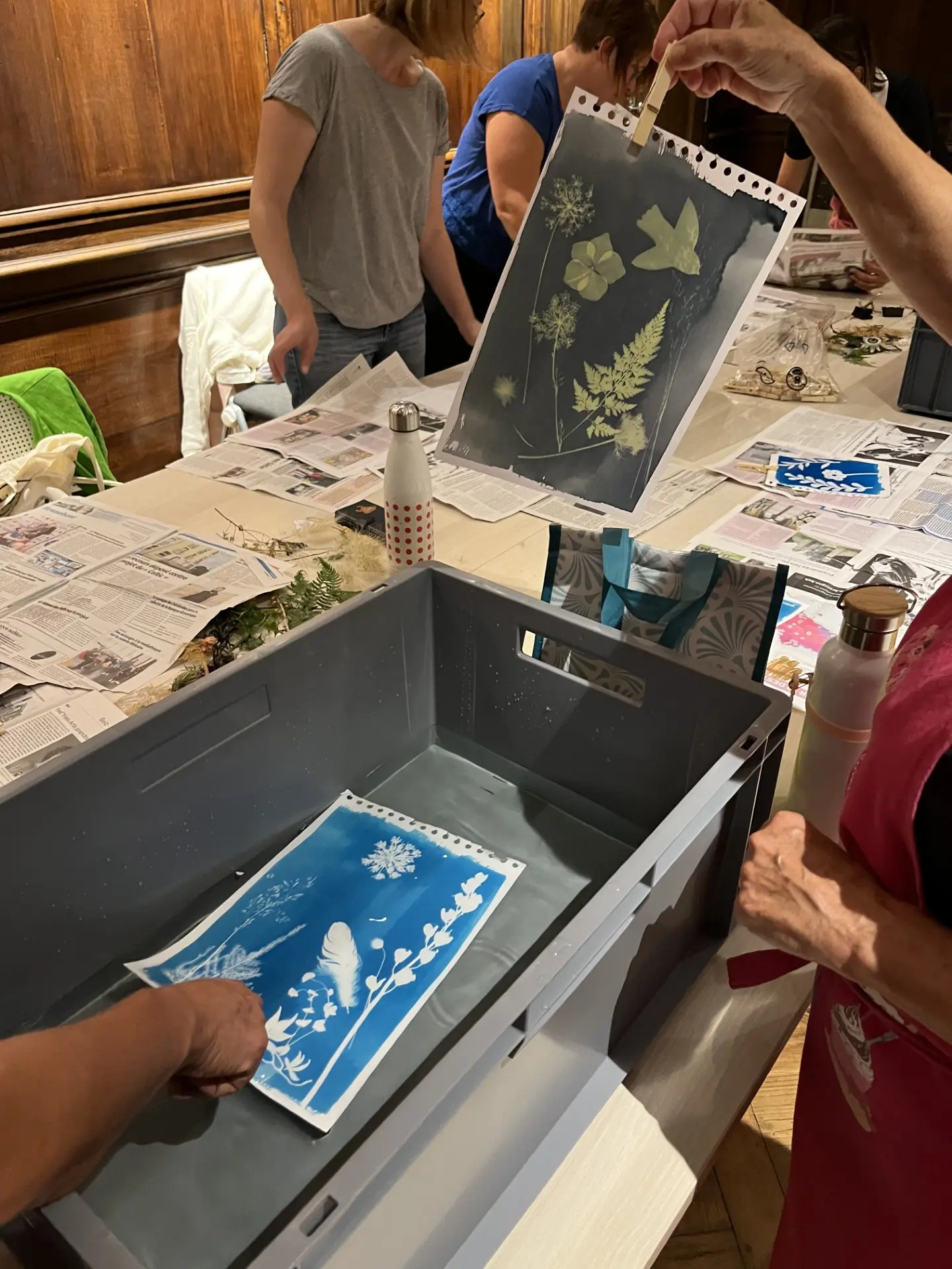atelier cyanotype