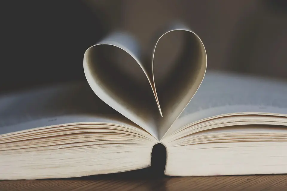 book-3998252_960_720