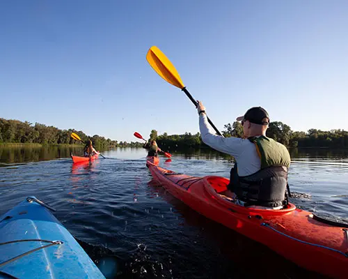 Sortie_kayak