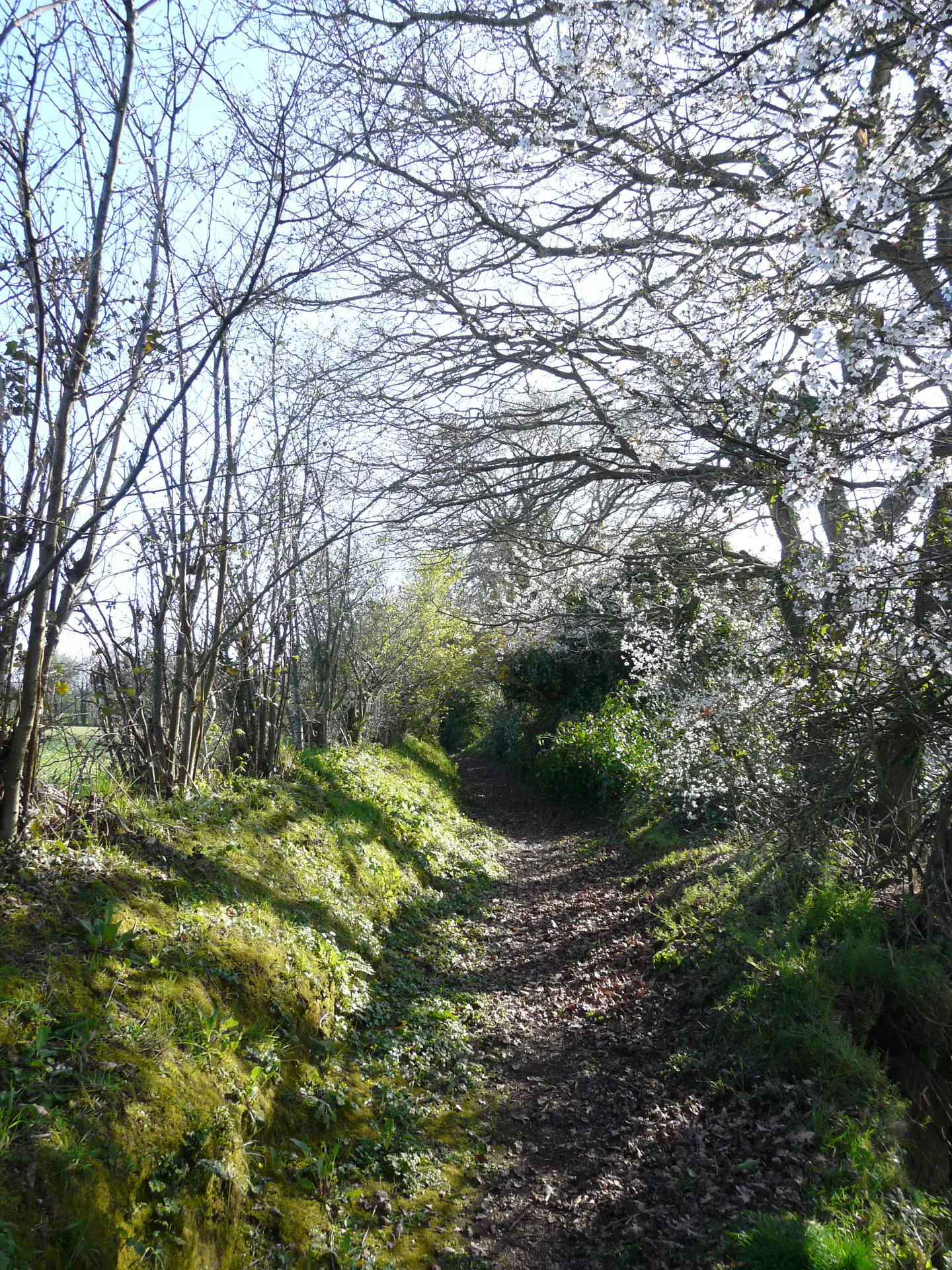 chemin pouldouran