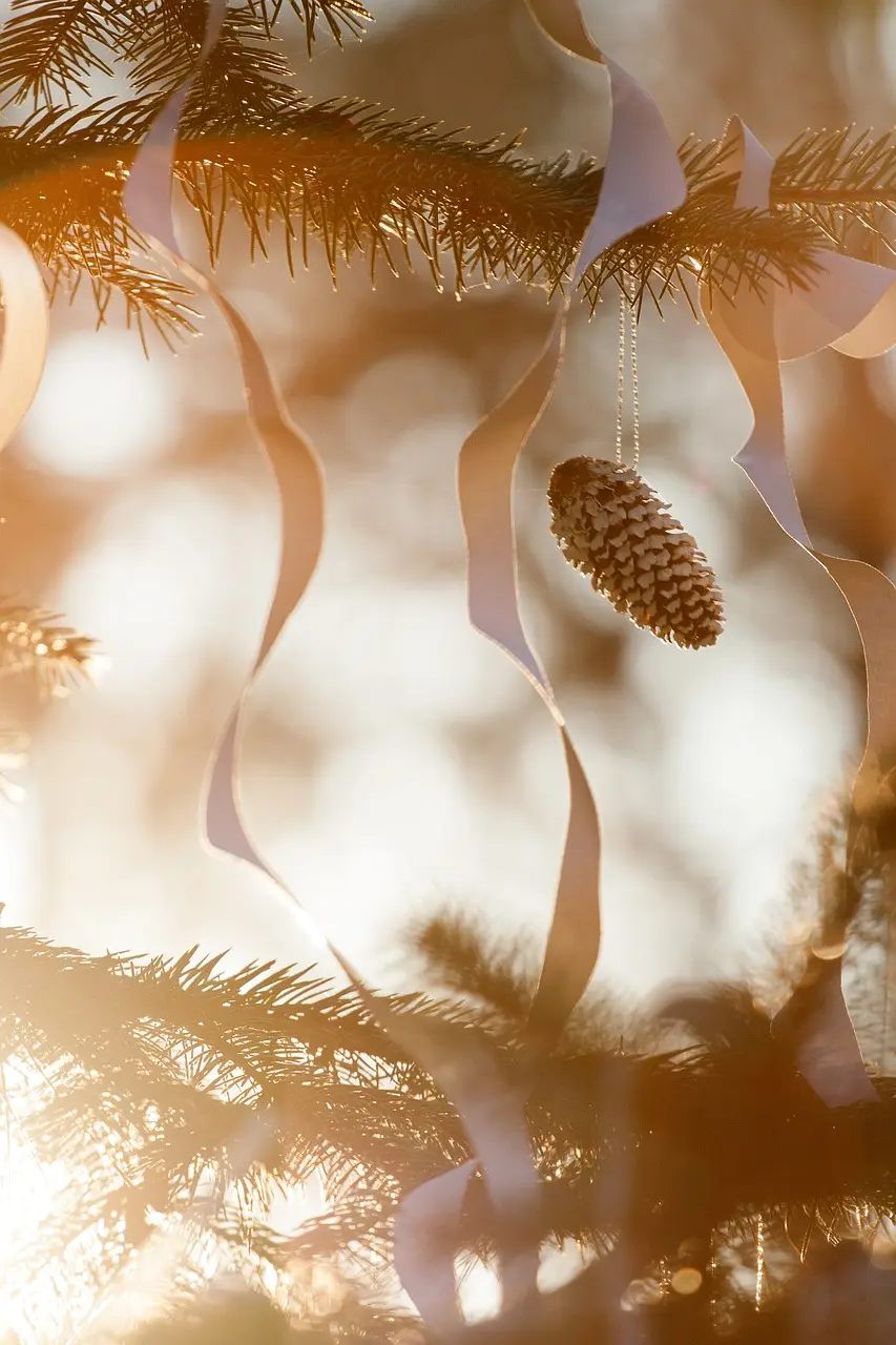 christmas-3486261_1280_Pixabay