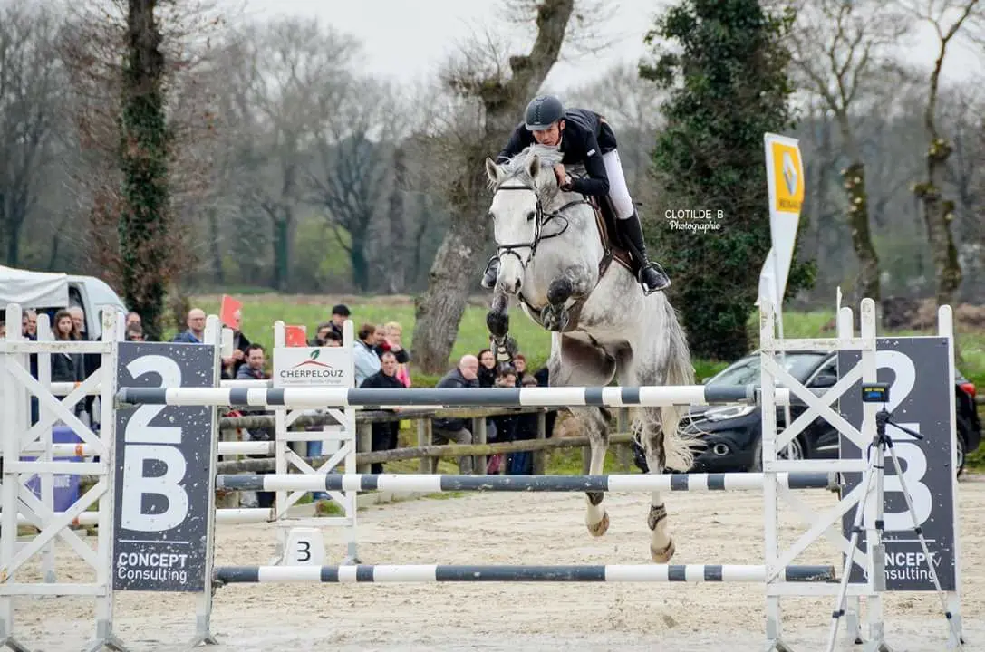 Concours centre équestre de Trémelin