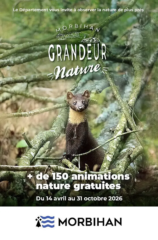 csm_MGN_WEB_202518_d59af511da