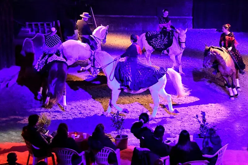 Cabaret équestre Les chevaux dansent à la bodega