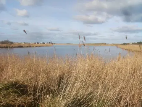 etang_queue_sud_nl_0.jpg