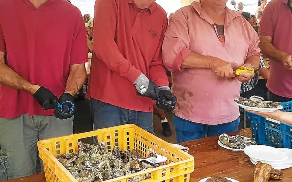 fête de l'huitre locmariaquer