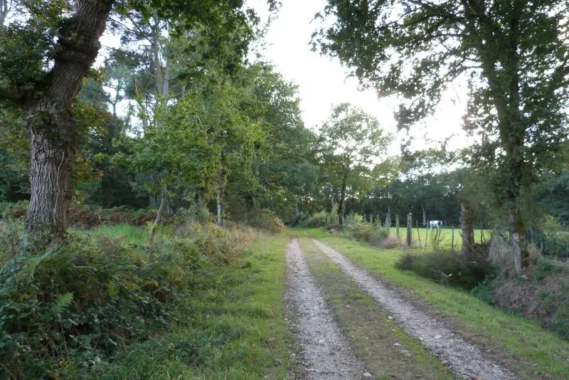hautiere_Bréal