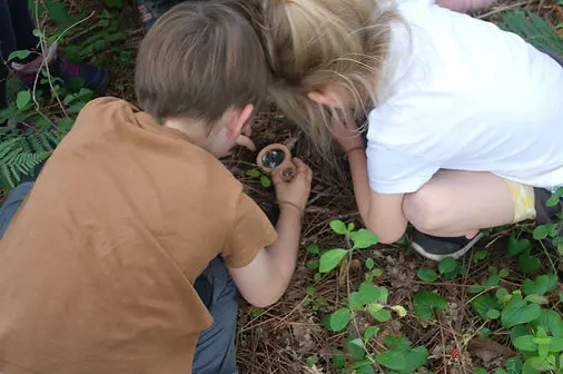 atelier en foret pour les petits