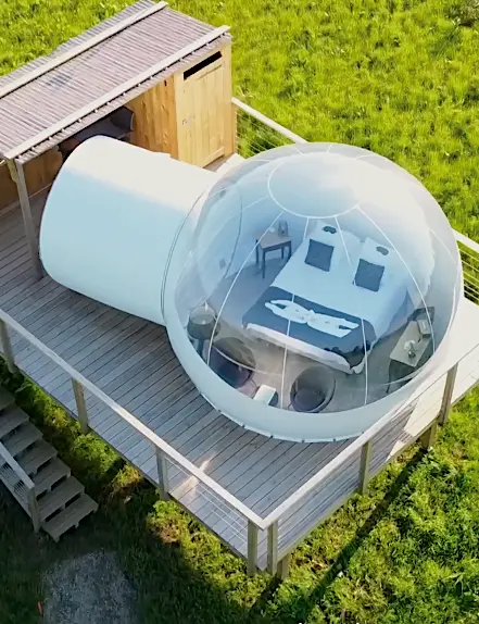 bulle - les insolites de sophie