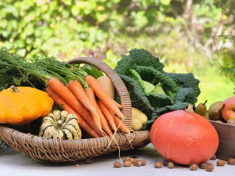 Marché - terroir - Guégon - Destination - Brocéliande