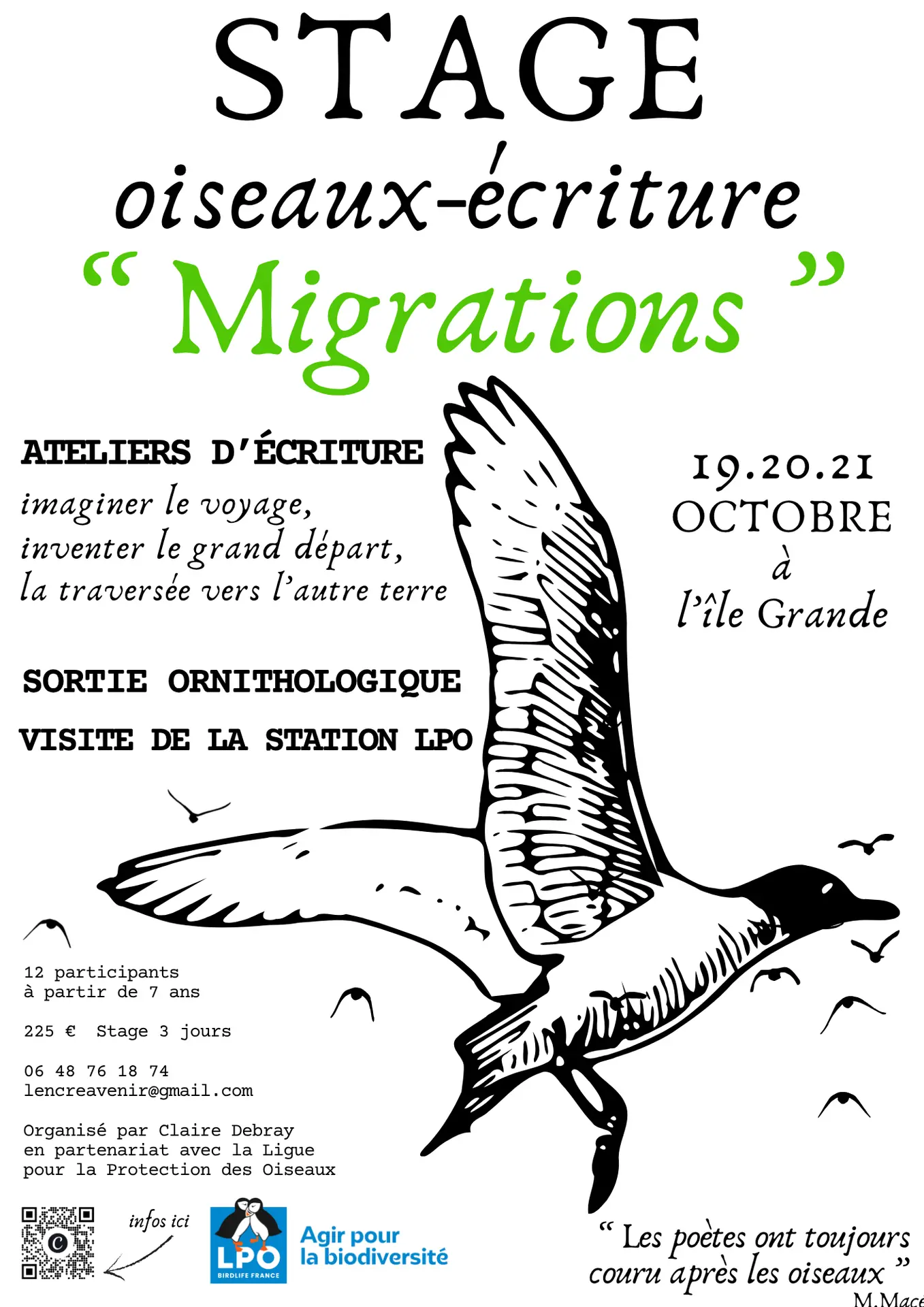 Migrations