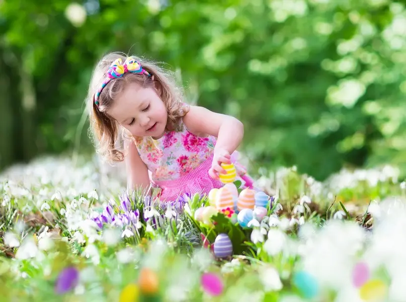 Chasse-oeufs-Josselin-Brocéliande-Morbihan-Bretagne