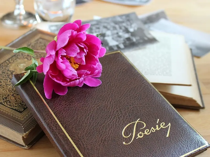 Festival - Slam - Poésie - Josselin - Brocéliande - Morbihan - Bretagne