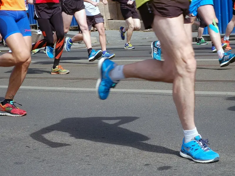 bourgad'tail de mauron