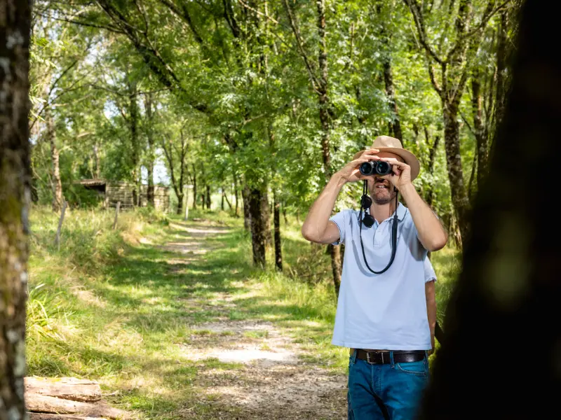 Samedi Ornitho - Terres d'Oiseaux - Braud & Saint LOUIS 800X600
