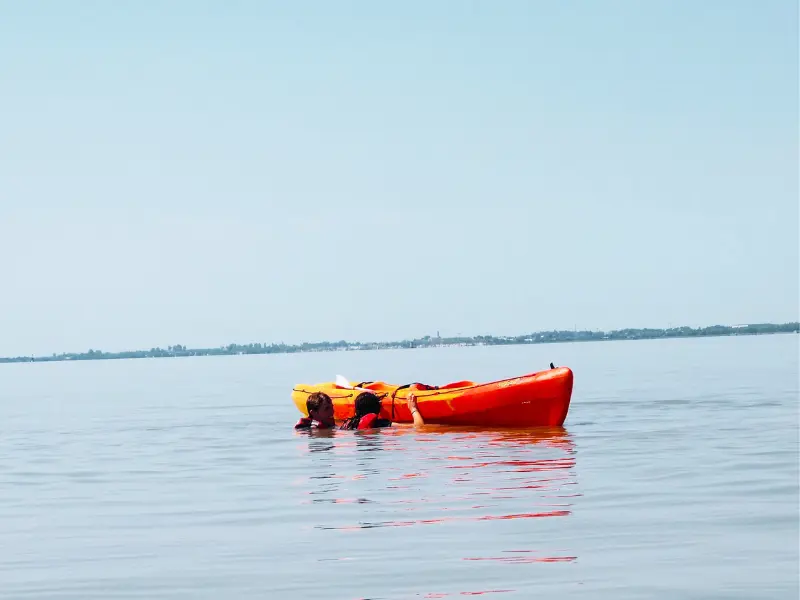 Activité Terres d'Oiseaux - KAYAK sur l'Estuaire - 800x600