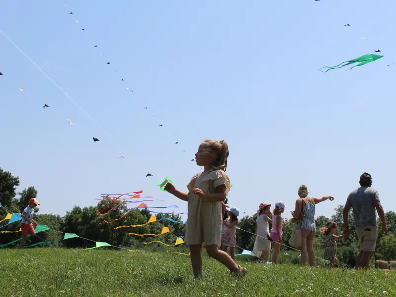 Fête du Vent - Terres d'Oiseaux