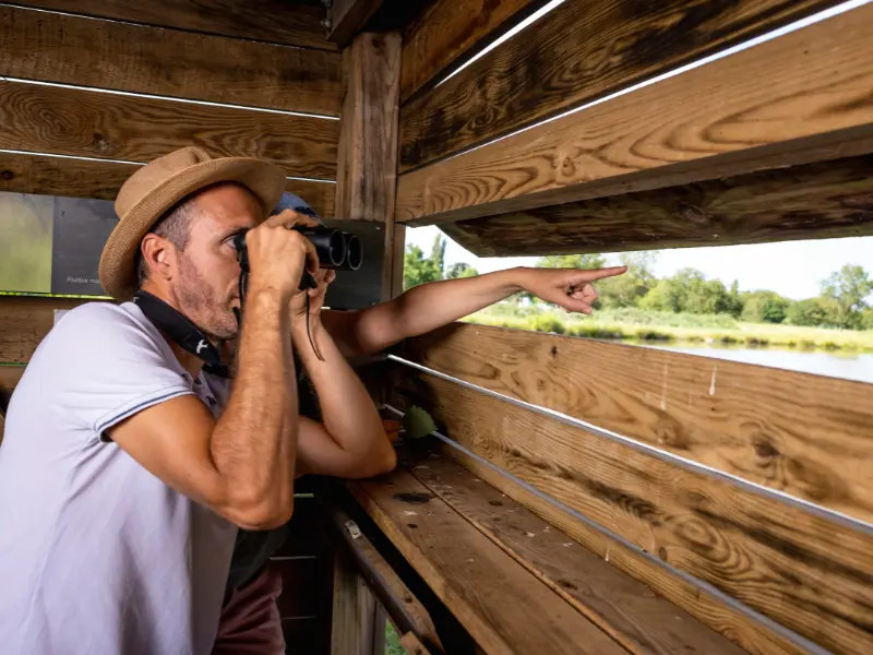 Initiation à l'ornithologie à Terres d'Oiseaux - 800x600