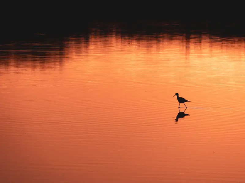 Semaine de la biodiversité - CCE - 800x600