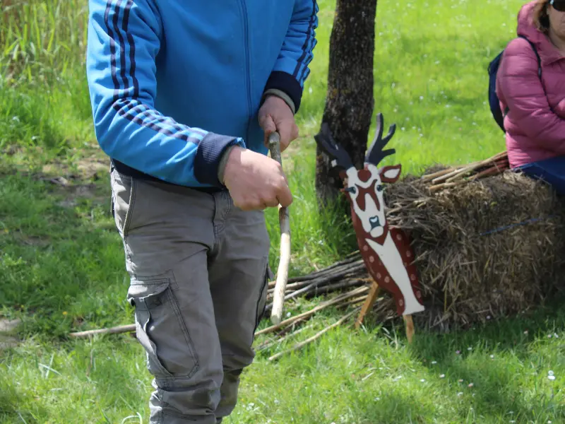 Petits aventuriers à Terres d'Oiseaux - 800x600