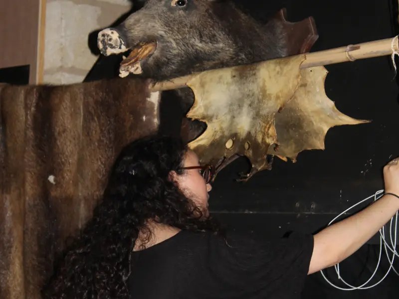 Activité Terres d'Oiseaux - Grand jeu d'halloween - 800x600