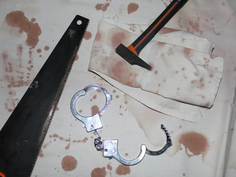 Escape Game - Terres d'Oiseaux / 800x600