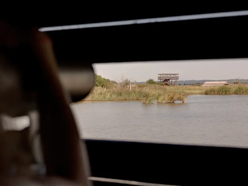 Sortie crépusculaire