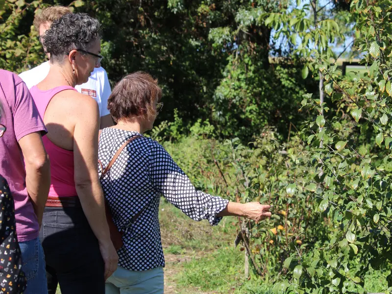 Visite du jardin forêt - 800x600 TERRES D'OISEAUX