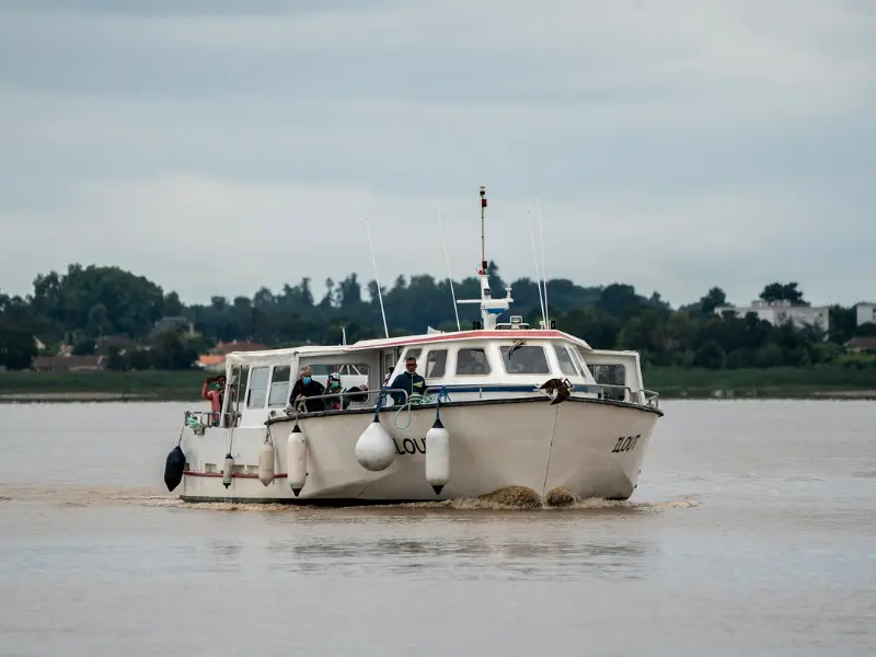 Croisière