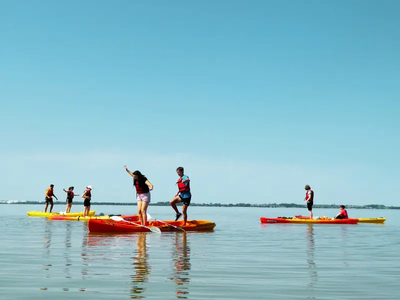 Activité Terres d'Oiseaux - KAYAK sur l'Estuaire - 800x600