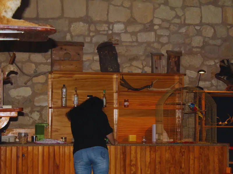 Escape Game - Terres d'Oiseaux / 800x600