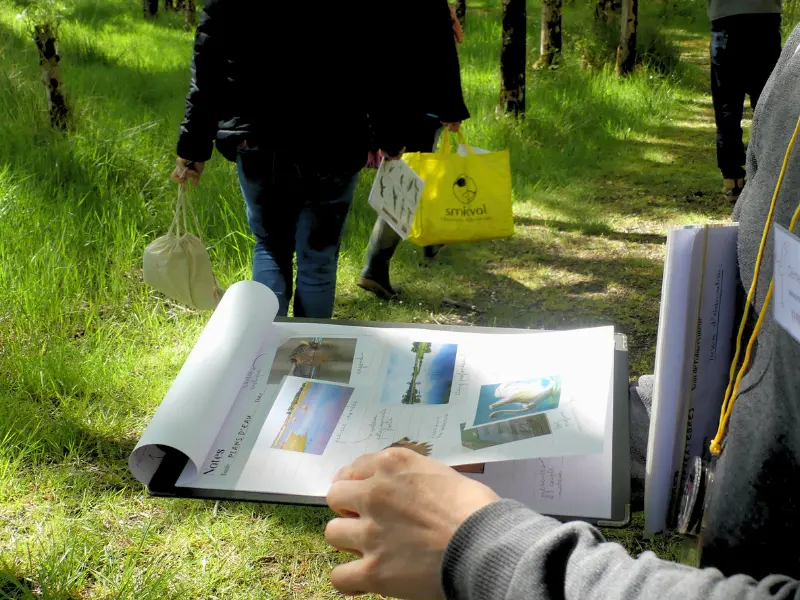 Escape game nature - TERRES D'OISEAUX - Braud-et-Saint-Louis - 800x600