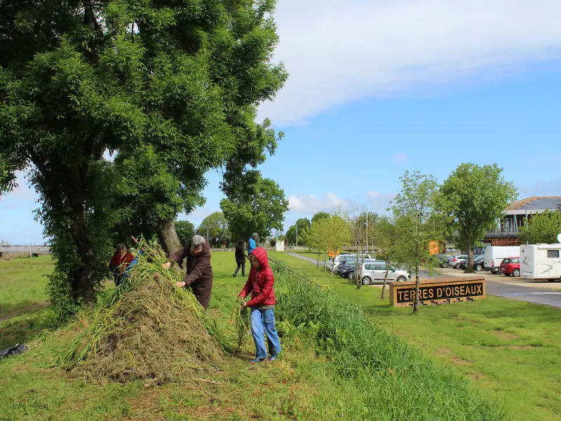 Petits aventuriers à Terres d'Oiseaux - 800x600