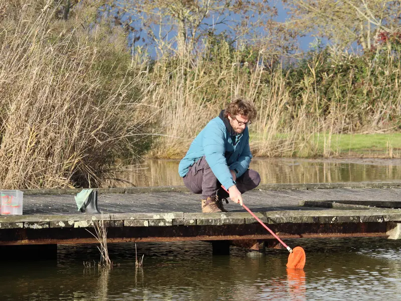 Decouverte de la mare