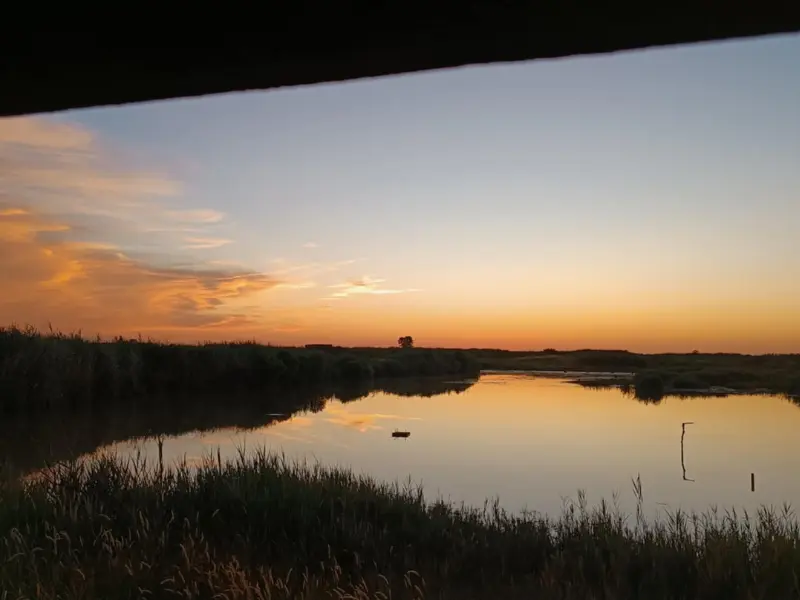 Activité Terres d'Oiseaux Nocturne chouette et cie - 800x600
