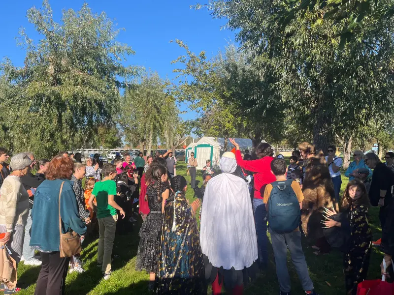 Activité Terres d'Oiseaux - Grand jeu d'halloween - 800x600