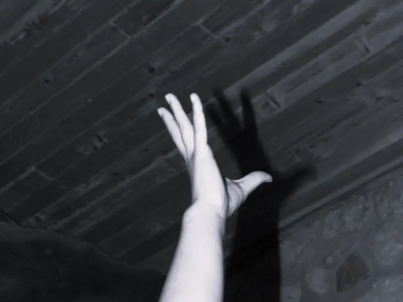 Escape Game - Terres d'Oiseaux / 800x600