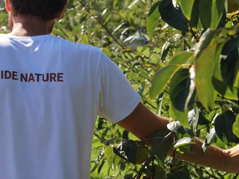 Visite du jardin forêt - 800x600 TERRES D'OISEAUX