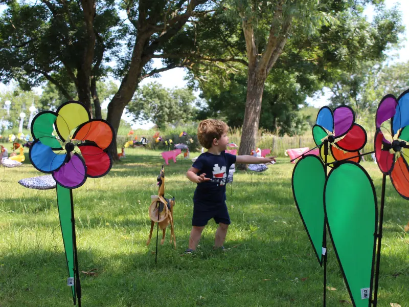 Fête du Vent - Terres d'Oiseaux