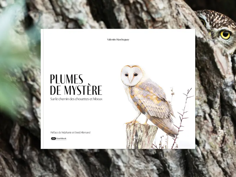 Conférence Valentin Marchegay semaine de la biodiversité - 800x600