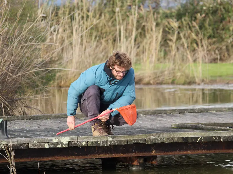 Decouverte de la mare